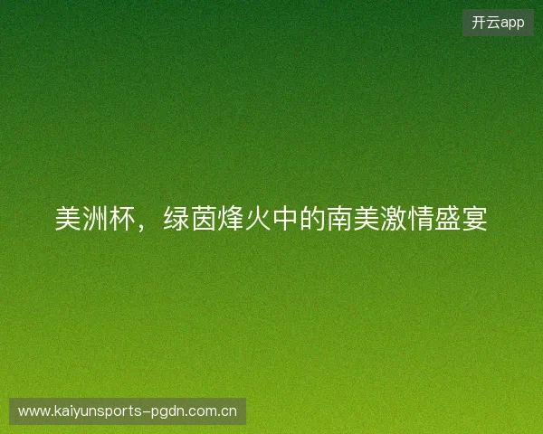 美洲杯，绿茵烽火中的南美激情盛宴