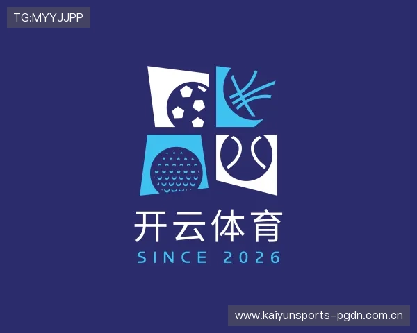 概况开云app
